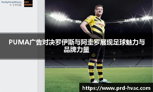 必一·体育(b-sports)