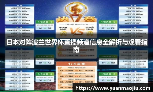 必一运动bsport体育